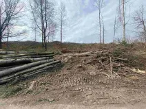 Prodej pozemku, Horní Stropnice - Šejby, 704 m2