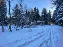 Prodej pozemku, Frýdštejn, 1080 m2