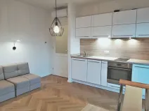 Pronájem bytu 1+kk, Praha - Žižkov, Slavíkova, 42 m2