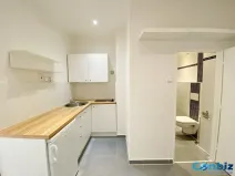 Prodej bytu 1+1, Praha - Karlín, Peckova, 29 m2