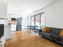 Prodej bytu 2+kk, Praha - Žižkov, Jana Želivského, 46 m2