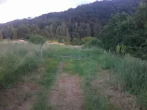 Pronájem louky, Velké Březno, 39851 m2