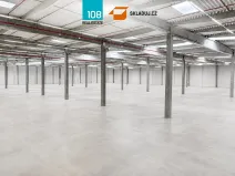 Pronájem skladu, Nymburk, 15000 m2
