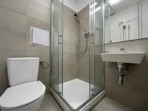 Pronájem bytu 1+1, Třinec, Komenského, 29 m2