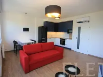 Pronájem bytu 2+kk, Praha - Nusle, Ctiradova, 52 m2