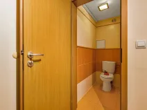Prodej bytu 3+kk, Šestajovice, Komenského, 116 m2