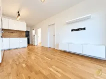 Pronájem bytu 3+kk, Mladá Boleslav, Na Radouči, 46 m2