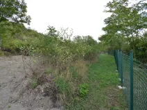 Pronájem zahrady, Křešice, 1500 m2