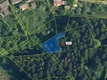 Dražba louky, Zlatá Olešnice, 438 m2