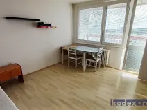 Pronájem bytu 1+kk, Hradec Králové, Třebechovická, 34 m2