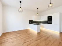 Prodej bytu 2+kk, Praha - Nusle, Na výsledku II, 50 m2