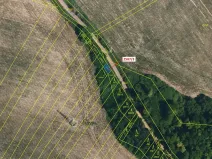 Dražba lesa, Horní Dunajovice, 77 m2