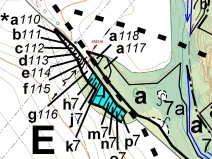 Dražba lesa, Horní Dunajovice, 237 m2