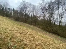Dražba louky, Semily, 7826 m2