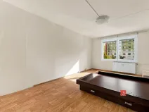 Prodej bytu 1+1, Plzeň - Severní Předměstí, Brněnská, 48 m2