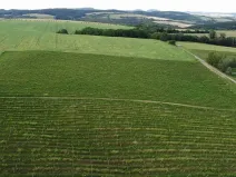 Dražba pole, Ořechov, 2077 m2