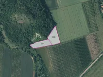 Prodej sadu/vinice, Želkovice, 16344 m2