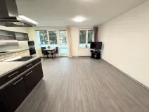 Pronájem bytu 1+kk, Jihlava, Kainarova, 46 m2