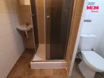 Pronájem bytu 1+kk, Most, Česká, 33 m2