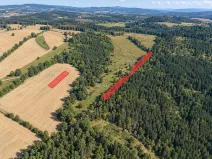 Prodej louky, Vižina, 3432 m2