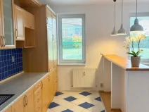 Pronájem bytu 2+kk, Plzeň - Severní Předměstí, Znojemská, 64 m2