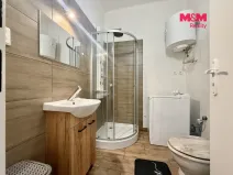 Pronájem bytu 1+kk, Ostrava - Přívoz, Mariánskohorská, 20 m2