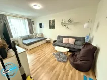 Pronájem bytu 1+1, Opava, 38 m2
