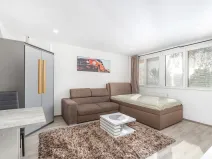 Prodej bytu 1+kk, Hradec Králové - Slezské Předměstí, Severní, 28 m2