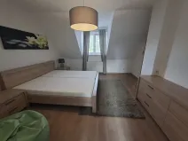 Pronájem rodinného domu, Staré Město, 180 m2