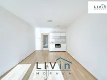 Pronájem bytu 1+kk, Olomouc, Rokycanova, 43 m2