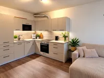 Pronájem bytu 2+kk, Olomouc, Loudova, 56 m2