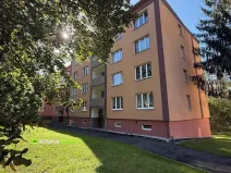 Pronájem bytu 2+1, Sokolov, Seifertova, 54 m2