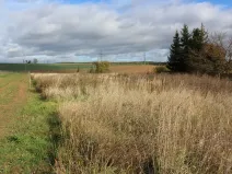 Prodej pozemku, Olešná, 2187 m2