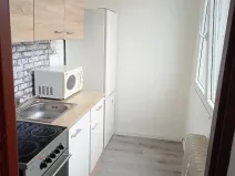 Pronájem bytu 1+1, Most, Růžová, 27 m2