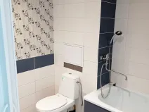 Pronájem bytu 1+1, Most, Růžová, 27 m2