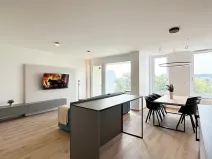 Pronájem bytu 4+kk, Brno, Placzkova, 112 m2