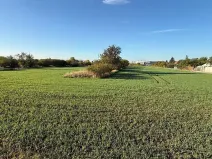 Prodej zahrady, Brno, 6418 m2