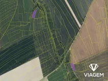 Prodej podílu pole, Vysoké Mýto, 1047 m2