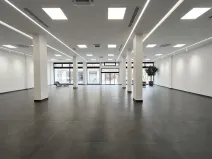 Pronájem obchodního prostoru, Ústí nad Labem, Masarykova, 282 m2