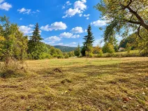 Prodej pozemku pro bydlení, Růžďka, 2996 m2