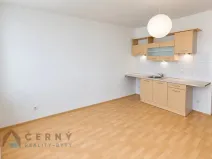 Pronájem bytu 1+1, Liberec, Řídkého, 36 m2