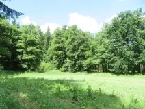 Dražba lesa, Honezovice, 2758 m2