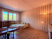 Pronájem bytu 1+1, Kraslice, Čs. armády, 37 m2