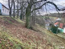 Prodej pozemku, Nové Dvory, 2443 m2