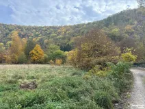Prodej louky, Štěchovice, 4119 m2