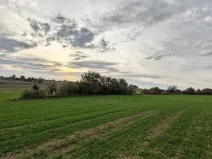 Prodej sadu/vinice, Brtnice, 1574 m2