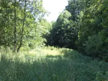 Prodej pole, Mařenice, 19744 m2