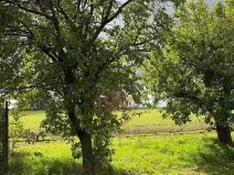 Prodej pozemku pro bydlení, Stračov, 8252 m2