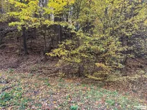 Prodej pozemku pro bydlení, Štěchovice, 852 m2
