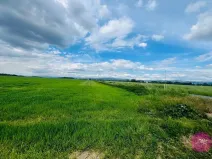 Prodej podílu komerčního pozemku, Liboš, 29280 m2